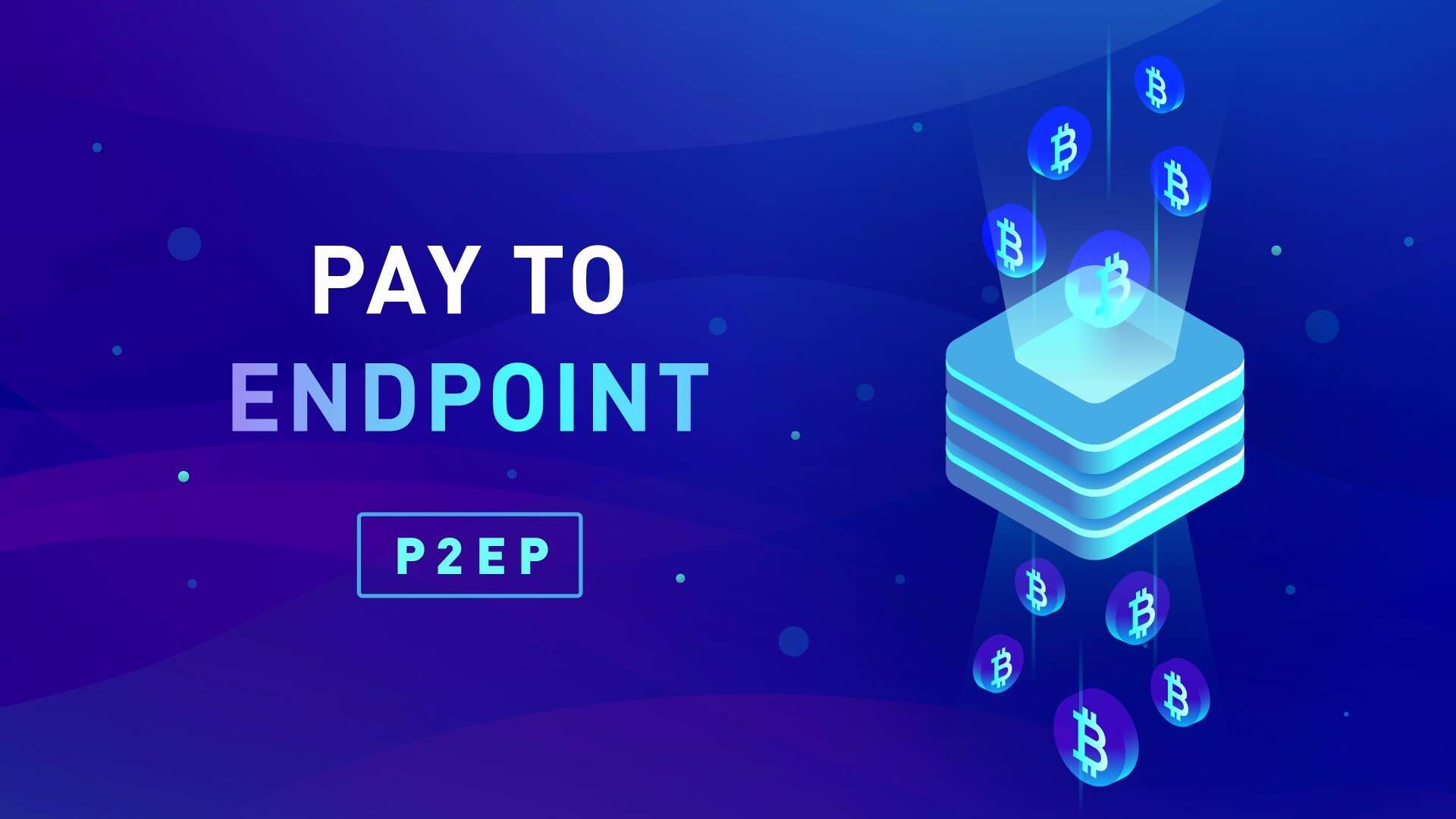 Improving Privacy Using Pay-to-EndPoint (P2EP)